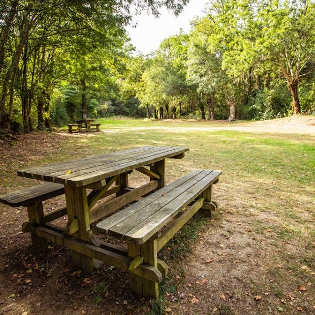 Aire de pique-nique Sauvaget à Pissotte - Forêt de Mervent - Fontenay-Vendée