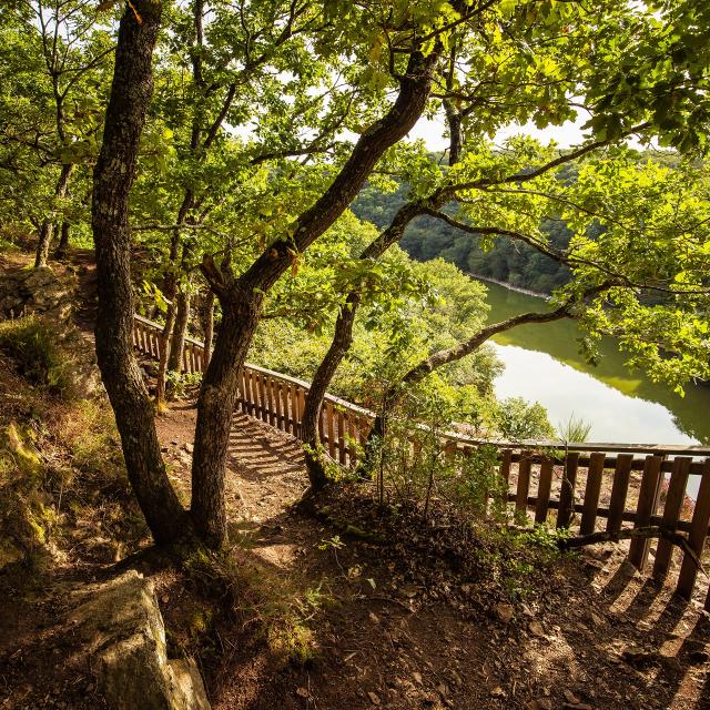 Rocher de Pierre Blanche - Forêt de Mervent - Fontenay-Vendée - 85