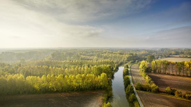 Marais poitevin