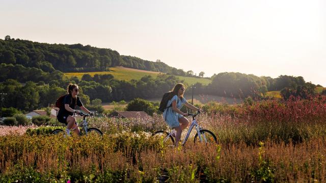balade-a-velo-en-vendee-bocage-foret-et-marais-poitevin.jpeg