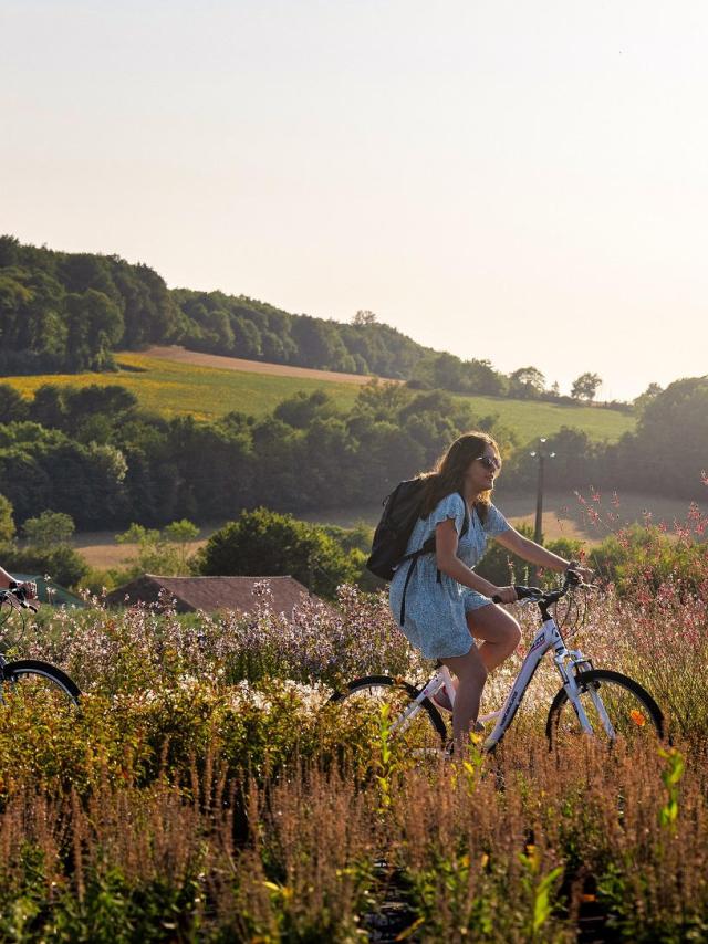 balade-a-velo-en-vendee-bocage-foret-et-marais-poitevin.jpeg