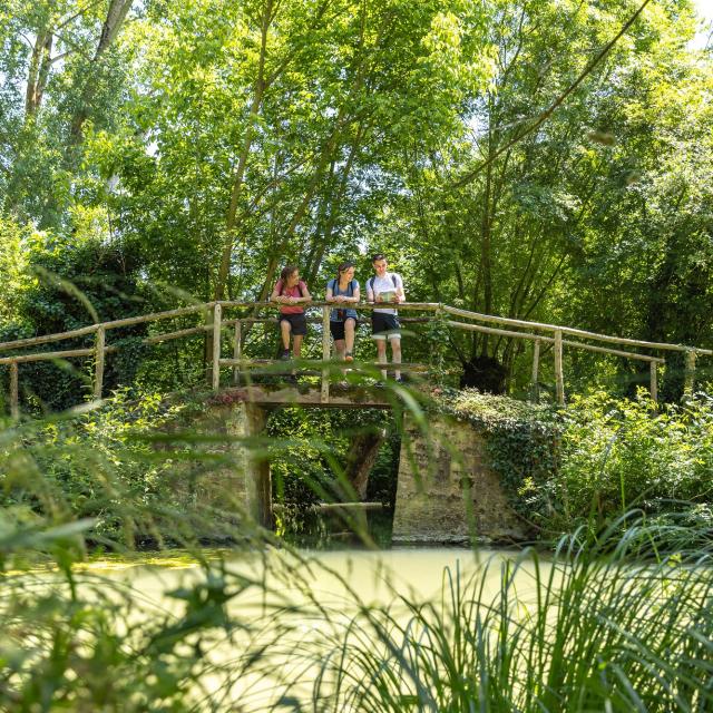 Randonnées pédestres dans le Marais poitevin Vendée