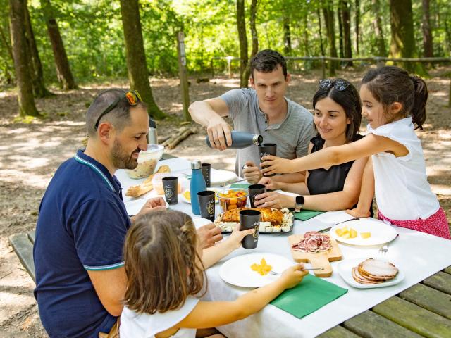 Aires de pique-nique forêt de Mervent-Vouvant - Vendée Grand Sud