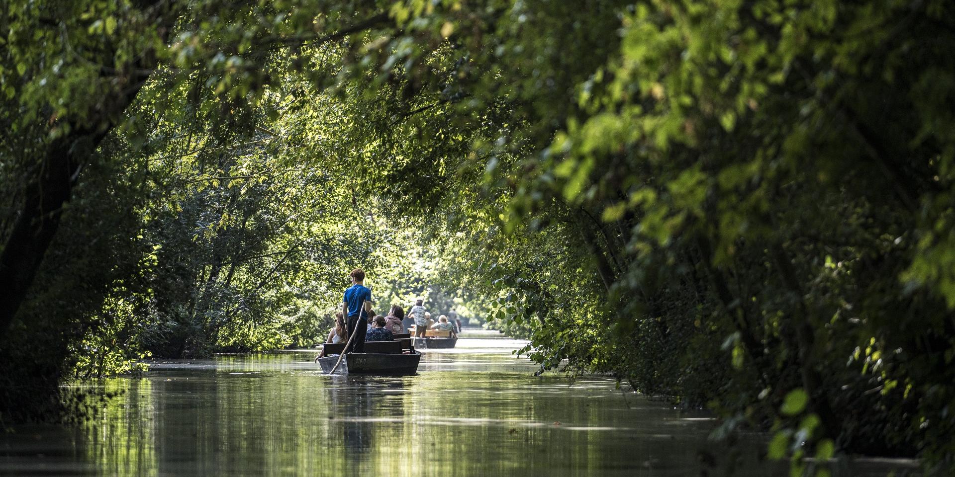 Balade en barque dans le Marais poitevin, Venise Verte