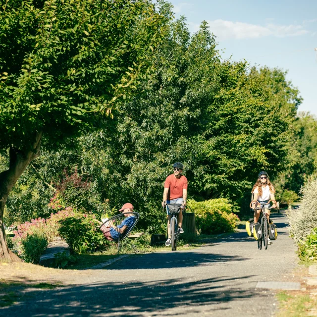 balade à vélo dans le marais poitevin, bocage en vendée