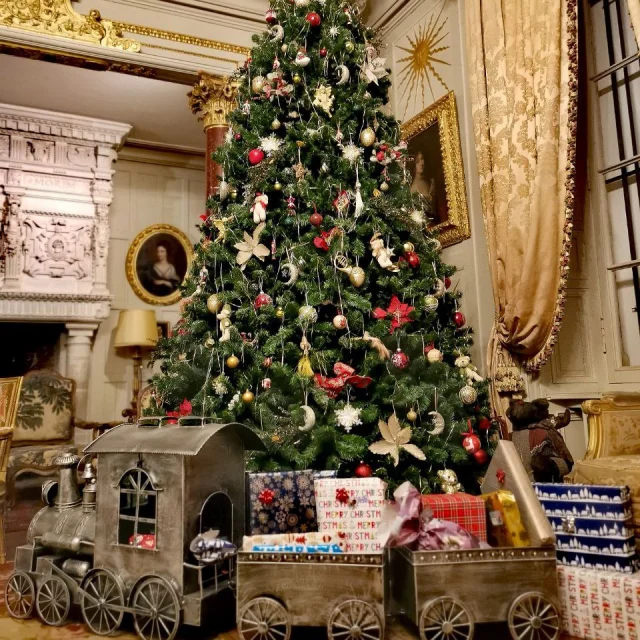 Chateau De Terre Neuve Sapin De Noel