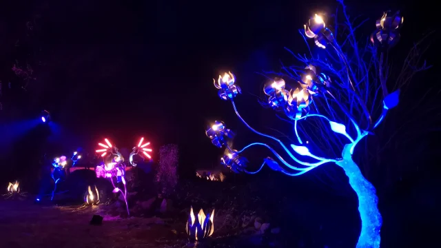 Illuminations Foire De Noel Maillezais