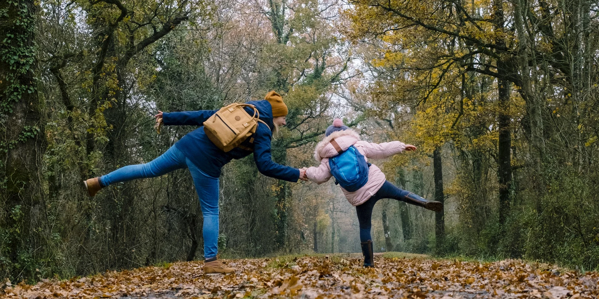 Forêt de Mervent à l'Automne