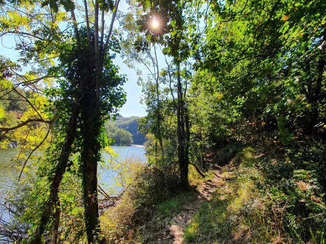 Circuit La Fontaine à l'Ermite L'Orbrie Forêt de Mervent-Vouvant