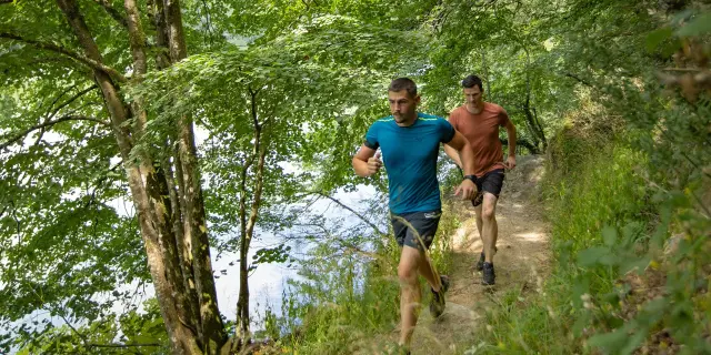 Trail en forêt de Mervent-Vouvant