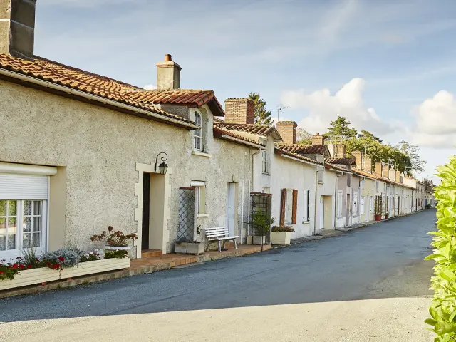 coron de la Haute Terrasse à Faymoreau