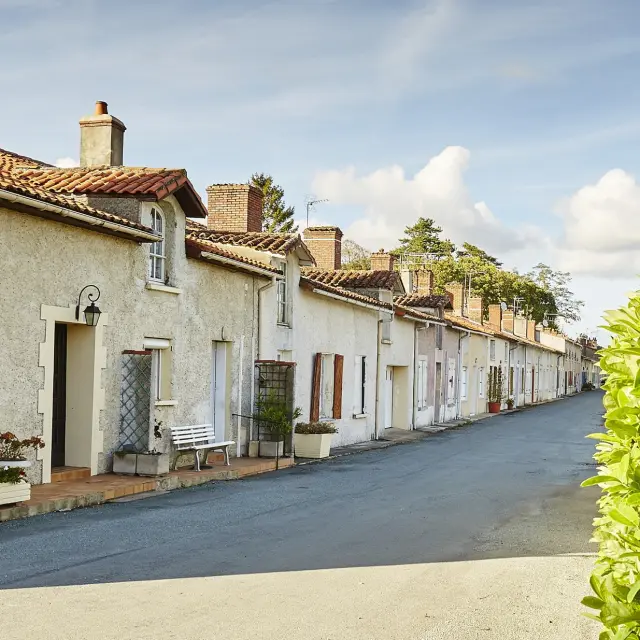coron de la Haute Terrasse à Faymoreau