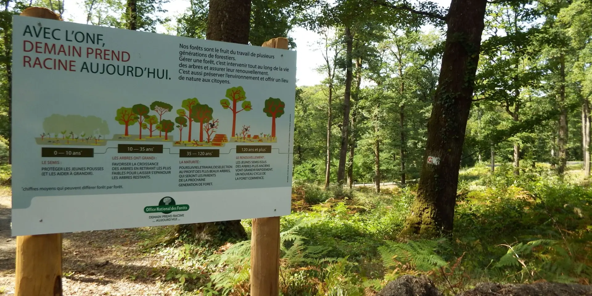 Foret De Mervent ONF